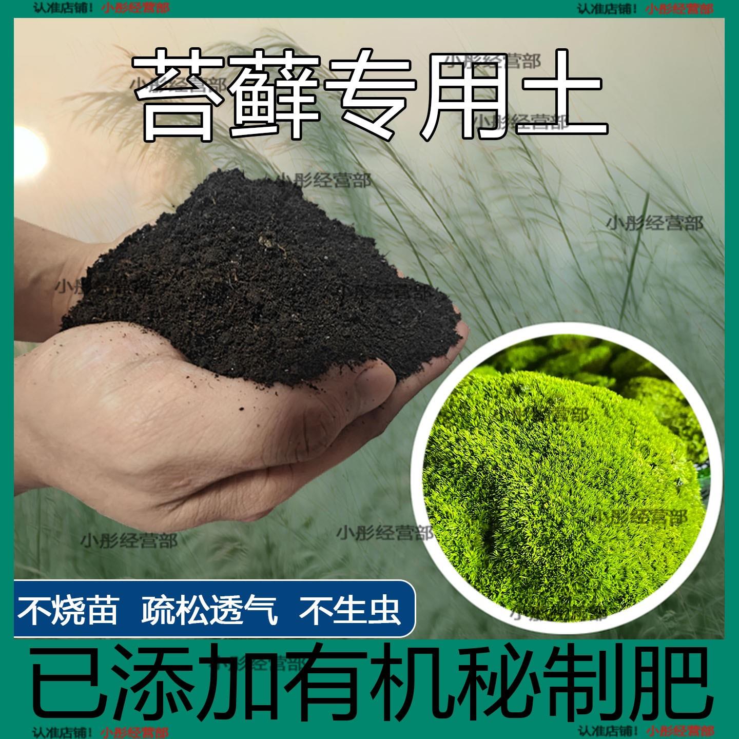 苔藓专用营养土盆栽用苔藓土通用种花造景营养土盆栽盆景苔藓肥料