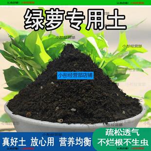 绿萝专用土绿萝专用营养土养花通用型家用种植土绿植有机土壤肥料