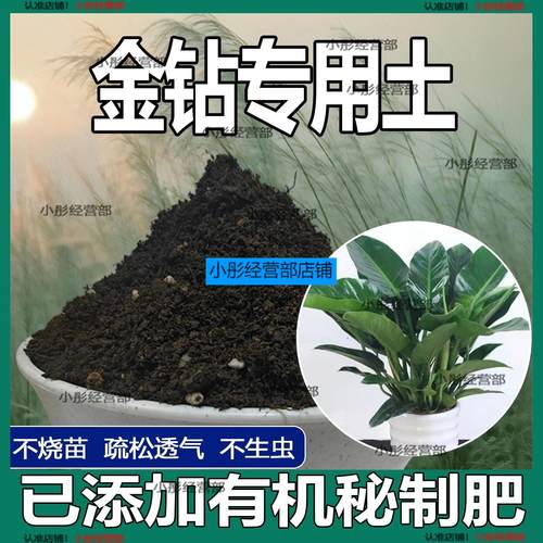 金钻专用土金钻专用营养土盆栽养花绿植种植土肥料通用种花土培