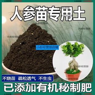 人参苗专用土人参苗土种植土壤营养土盆栽种花泥土透气通用养花土