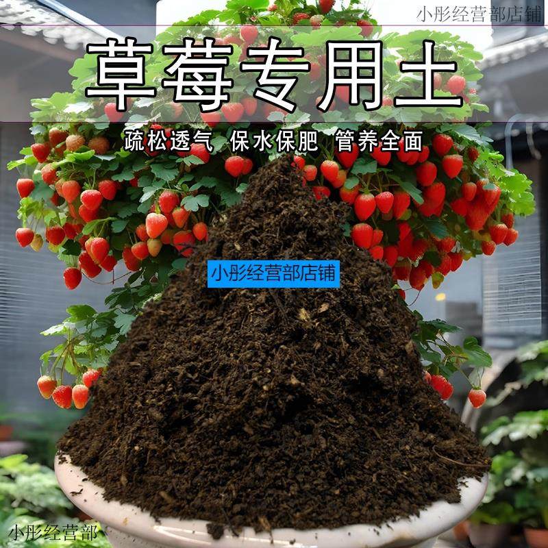 草莓专用营养土有机土壤盆栽泥土种植土种草莓的土肥料专用肥