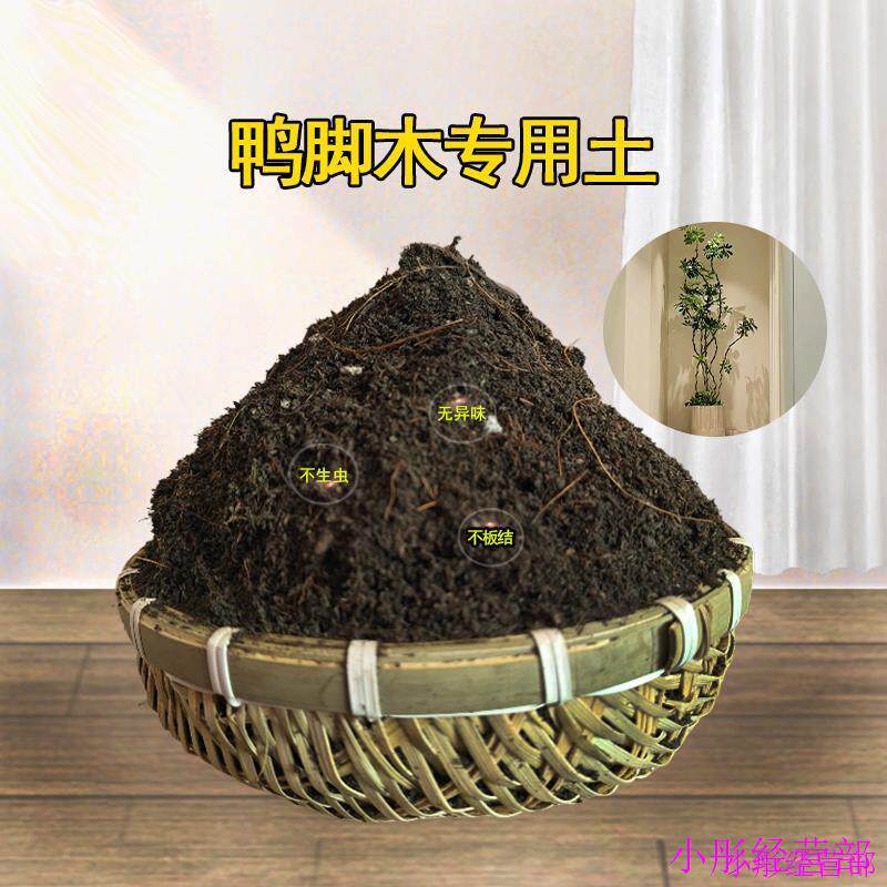 鸭脚木专用土花土七叶莲土壤鸭爪木鸭掌木营养土泥土种植土肥料