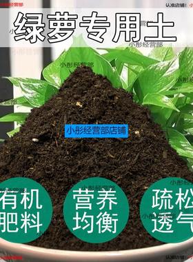 绿萝专用土长藤垂吊植物通用土壤营养土种花土有机肥料花卉种植土