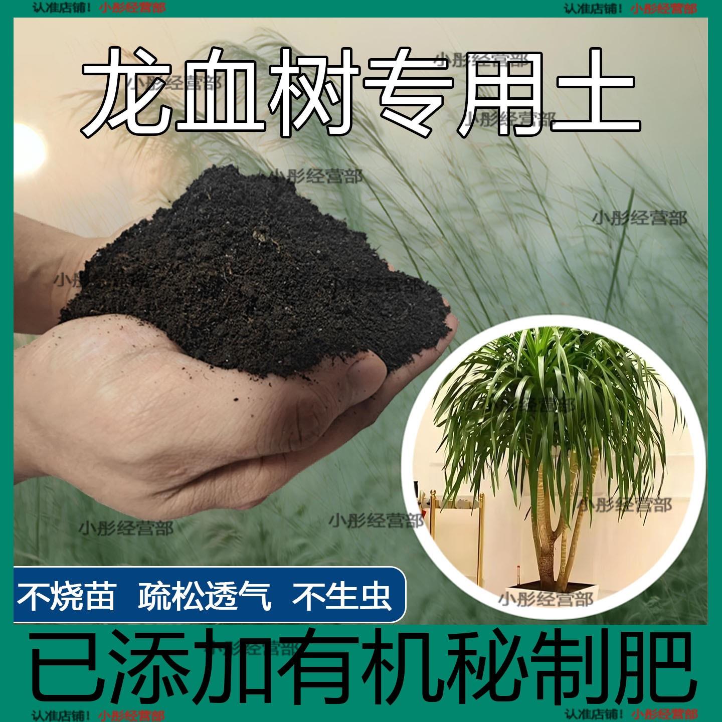 龙血树专用营养土养花通用透气疏松土种花种菜家用多肉育苗有机土