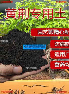黄荆专用土种花土通用种植土壤有机肥料 黄荆专用营养土 盆栽养花
