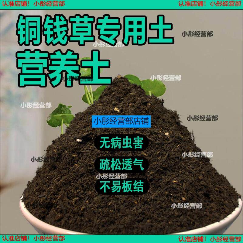 铜钱草植物土家庭盆栽养花土通用铜钱草营养土绿植种植土有机肥料