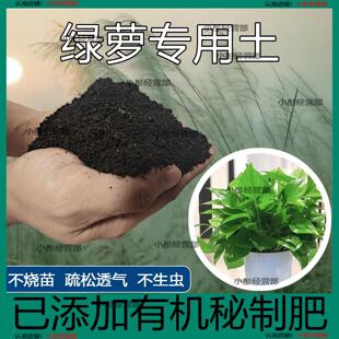绿萝专用土长藤垂吊植物通用土壤营养土种花土有机肥料花卉种植土