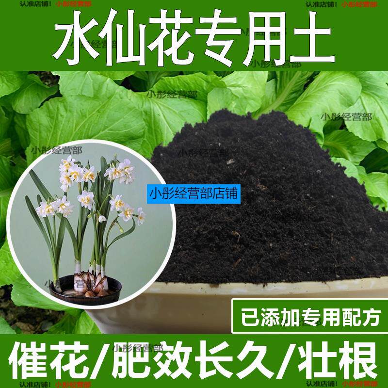水仙花专用土水仙花专用营养土酸性土种植土通用土有机土肥料土壤