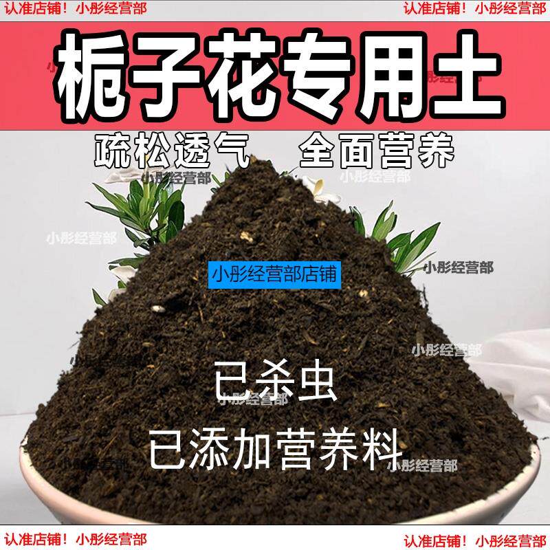 栀子花专用土栀子花专用营养土家庭种植土养花土通用型种花土肥料
