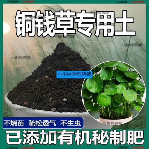 铜钱草植物土家庭盆栽养花土通用铜钱草营养土绿植种植土有机肥料