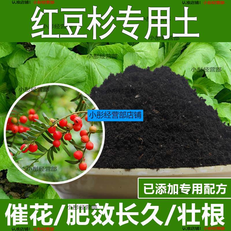 红豆杉专用土红豆杉专用营养土酸性土种植土通用土有机土肥料土壤
