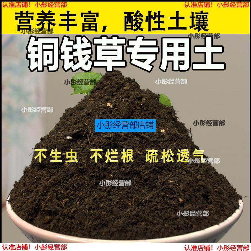 铜钱草植物土家庭盆栽养花土通用铜钱草营养土绿植种植土有机肥料