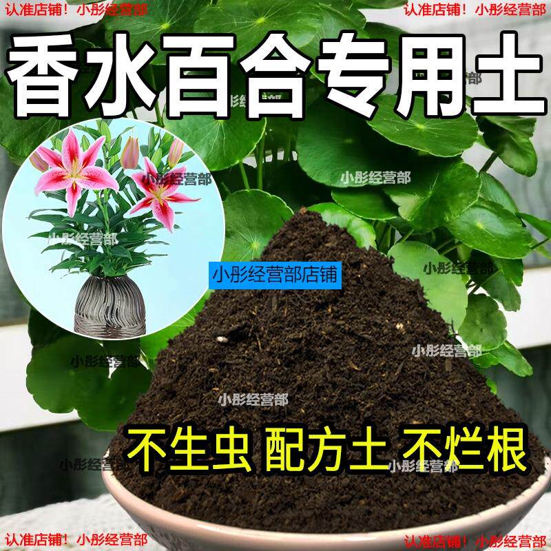 香水百合专用营养土 香水百合专用土 盆栽花土种花养花种植土壤