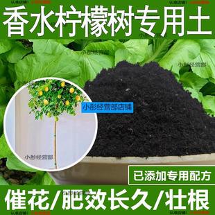 香水柠檬树专用土香水柠檬树专用营养土酸性土种植土通用土有机土