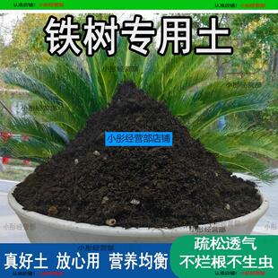 铁树专用土营养土透气通用土壤养花土壤家用种植土有机肥料培养土