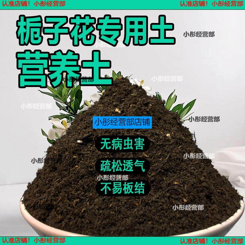 栀子花专用土栀子花专用营养土家庭种植土养花土通用型种花土肥料