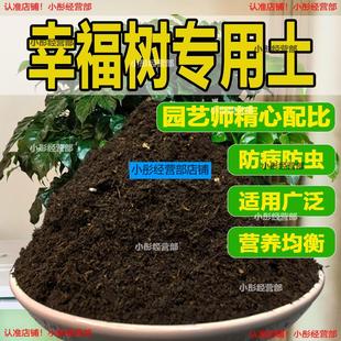幸福树营养土花卉绿植盆栽种植土花土疏松透气肥沃砂质土壤专用土