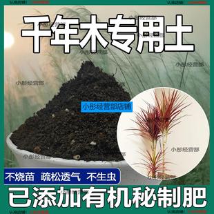 千年木专用土肥料盆栽土壤园艺养花育苗花土阳台千年木营养土蓬松
