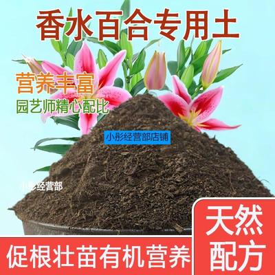 香水百合专用营养土 香水百合专用土 盆栽花土种花养花种植土壤