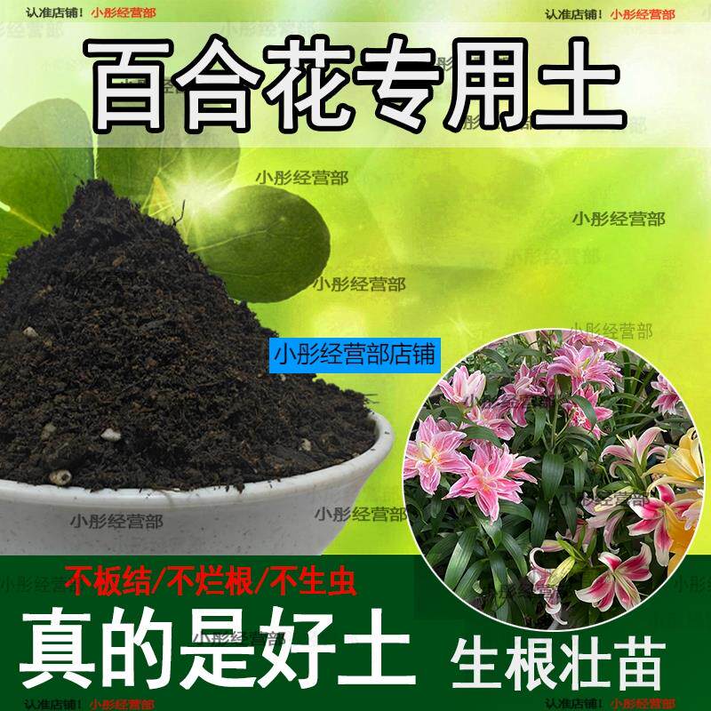 土香水百合花专用营养土营养庭院土壤用品阳台花园养花肥料植物土