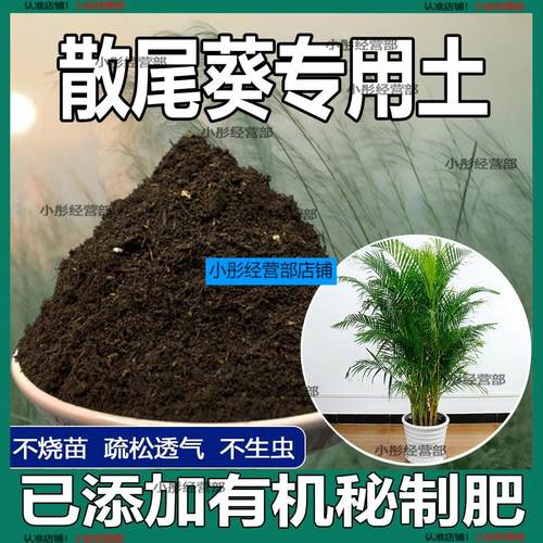 散尾葵专用土家庭盆栽土肥料种花泥土散尾葵营养土专用绿植种植土