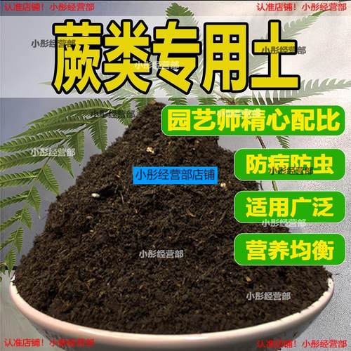 蕨类专用土蕨类植物优质土家用盆栽营养土酸性沙质土壤绿植种植土