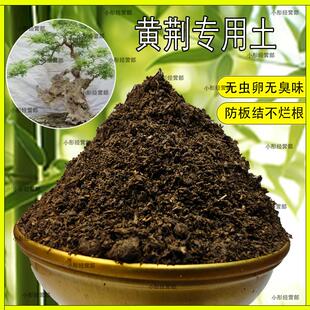 黄荆专用土盆栽阳台盆景种花养花黄荆营养土通用种植土壤有机肥料