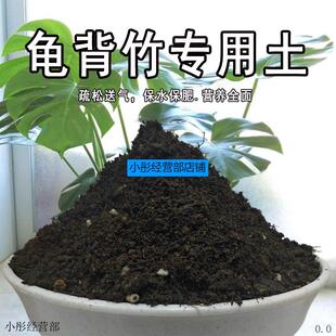 养龟背竹专用土营养土花土专用肥料天南星科土壤竹芋土泥土种植土