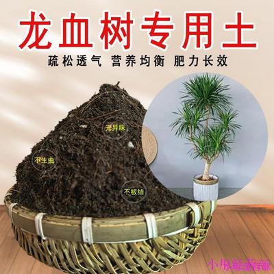 龙血树专用土盆栽土龙血树营养土肥料龙须树专用有机肥料种植土