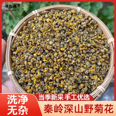 秦岭野菊花干净无杂可泡茶