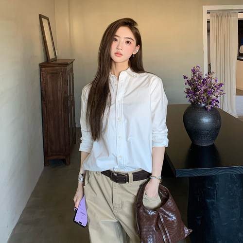 橘子树在哪儿韩系polo领长袖衬衫