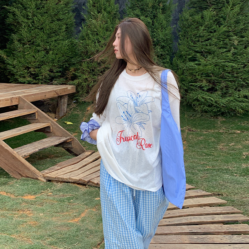 韩系印花微透长袖t恤女春夏