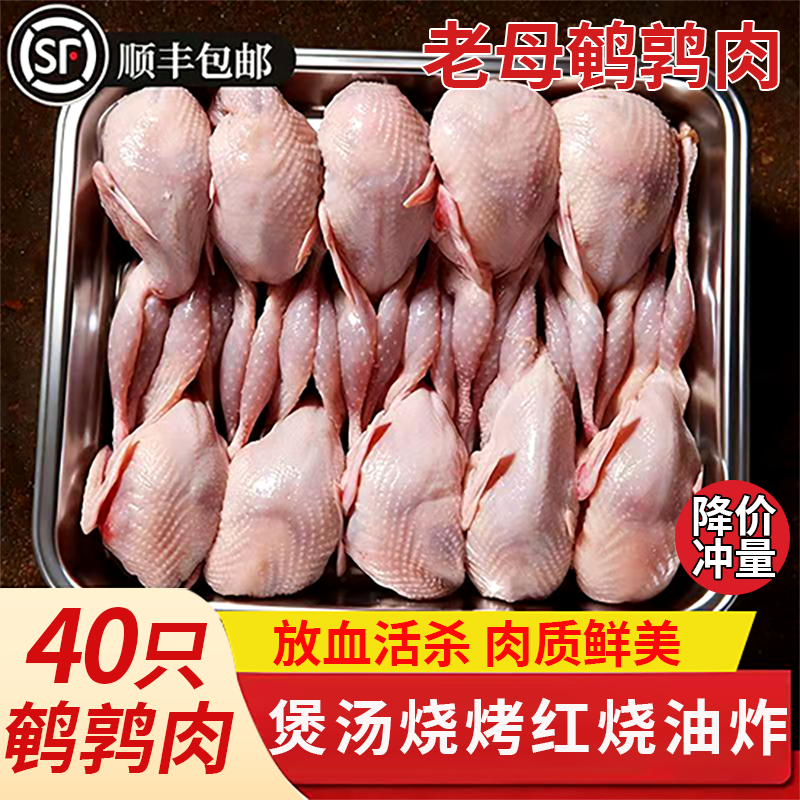活杀新鲜散养鹌鹑速冻鹌鹑肉白条净膛烤烤优选无激素炖汤佳品