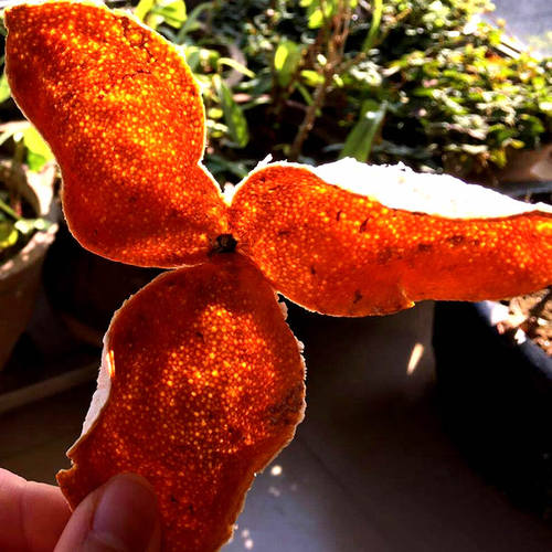 正宗新会梅江冬至大红皮陈皮500g