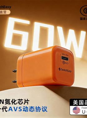 美国SwitchEasy适配苹果17充电头大功率60w快充ipad平板macbook电脑过充防护便携tyoec充电器3c认证