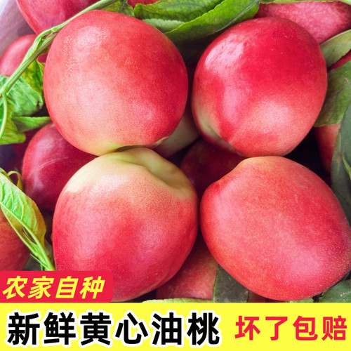 贵州高山黄心油桃新鲜应季水果桃子脆甜微酸油桃孕妇水果整箱包邮