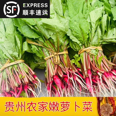 贵州农家青菜新鲜萝卜菜红白萝卜苗叶菜萝卜樱子辣菜时令蔬菜现摘