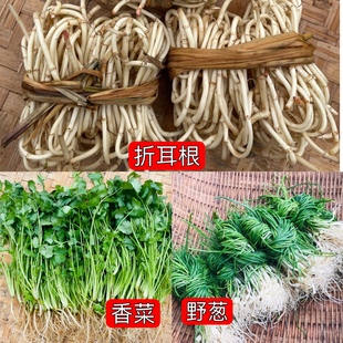 贵州农家菜新鲜野葱苦蒜小根葱沙葱香菜折耳根鱼腥草蔬菜套餐