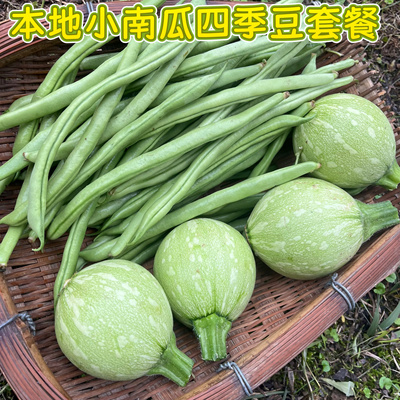 贵州农家自种小南瓜新鲜四季豆豆角清甜应季蔬菜现摘现发素汤套餐