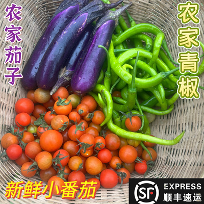 贵州新鲜小番茄农家小青椒新鲜小西红柿农家茄子素菜凉拌套餐顺丰