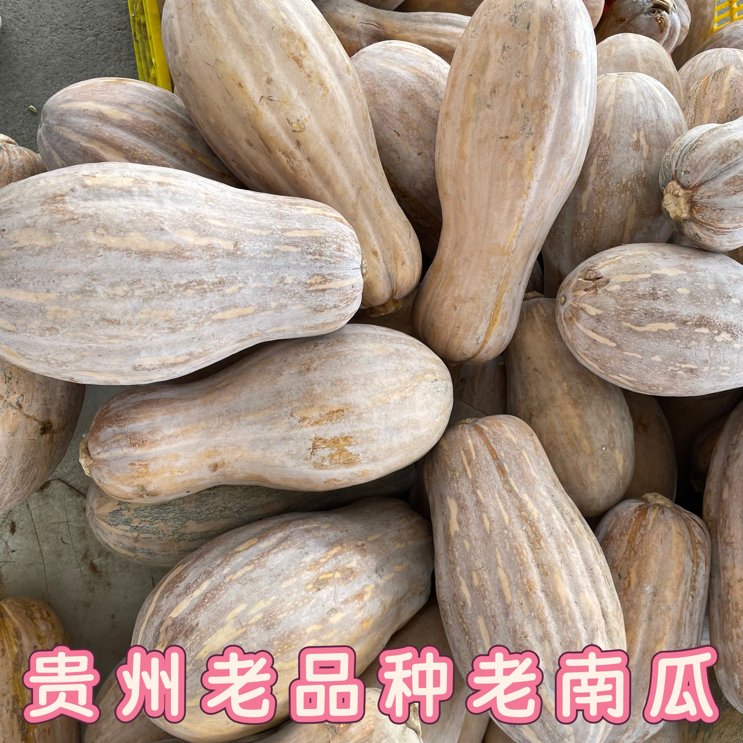 6斤 农家自种南瓜新鲜粉面甜糯老南瓜宝宝辅食蜜本南瓜非贝贝