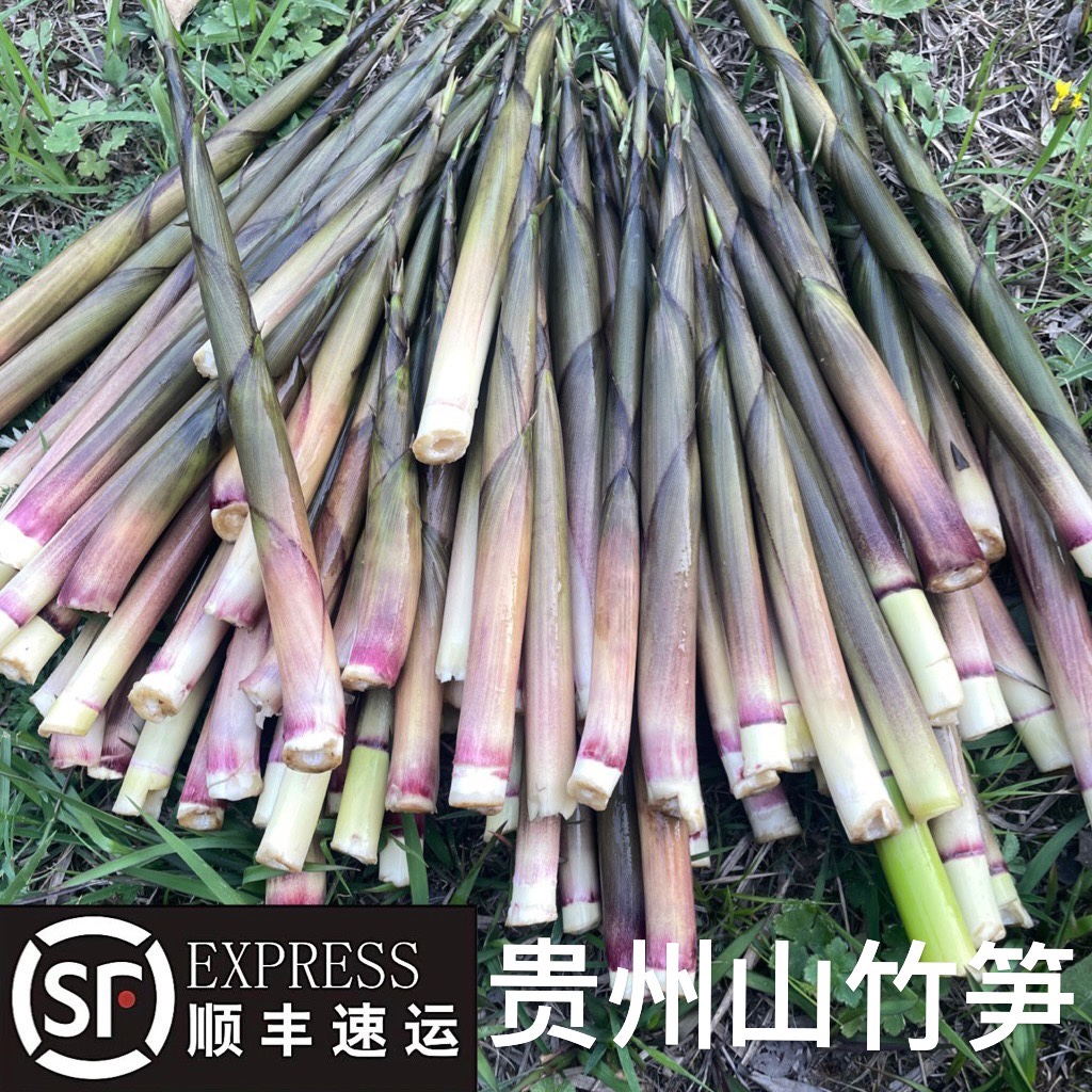 贵州野菜带壳小竹笋新鲜嫩笋尖水竹笋山笋花壳笋甜苦竹笋现挖春笋