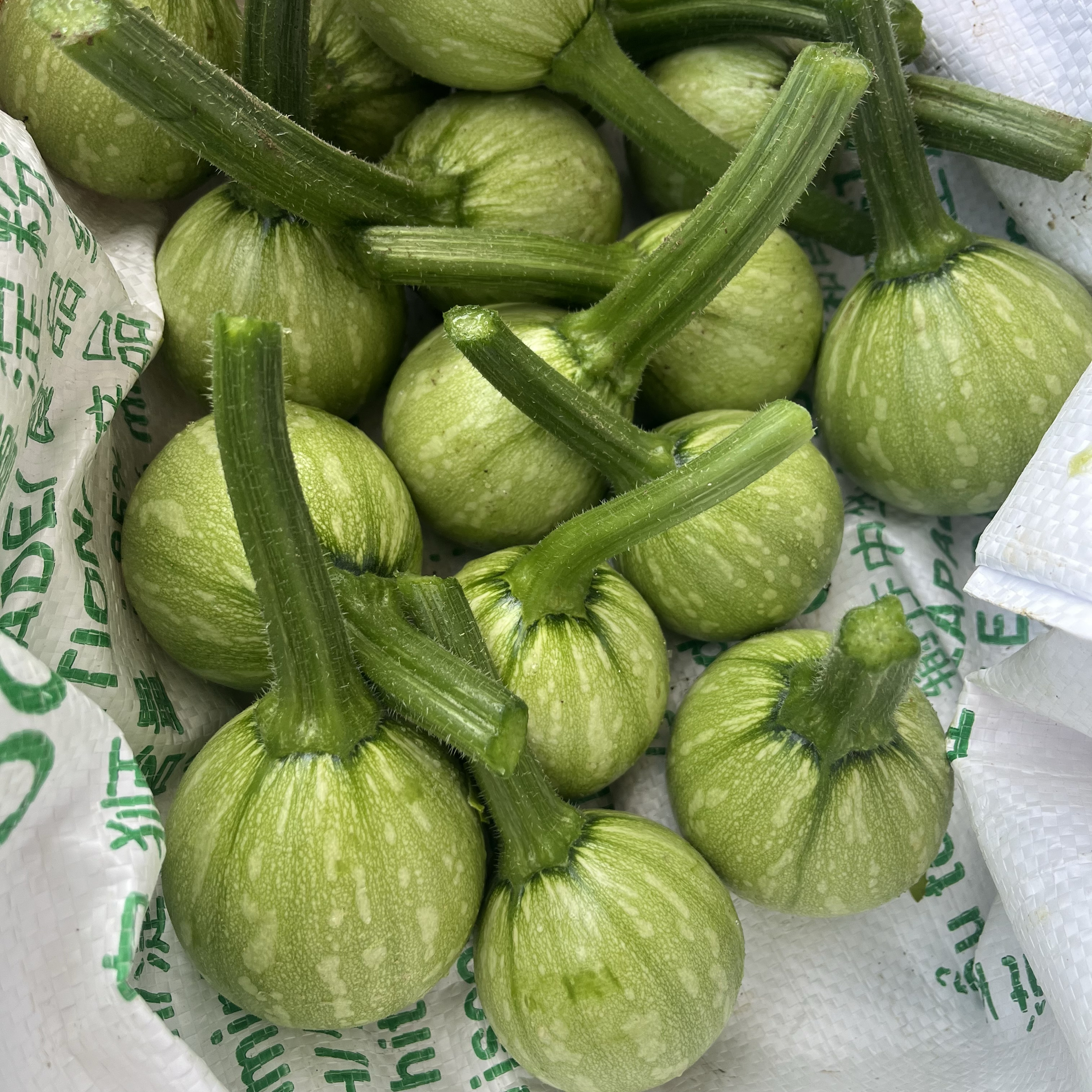 贵州迷你小南瓜青瓜嫩瓜清甜可口