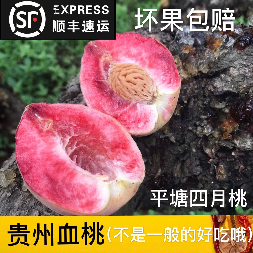 贵州特产新鲜毛桃新鲜桃脆甜毛桃子水果血四月五月红水果鲜果孕妇