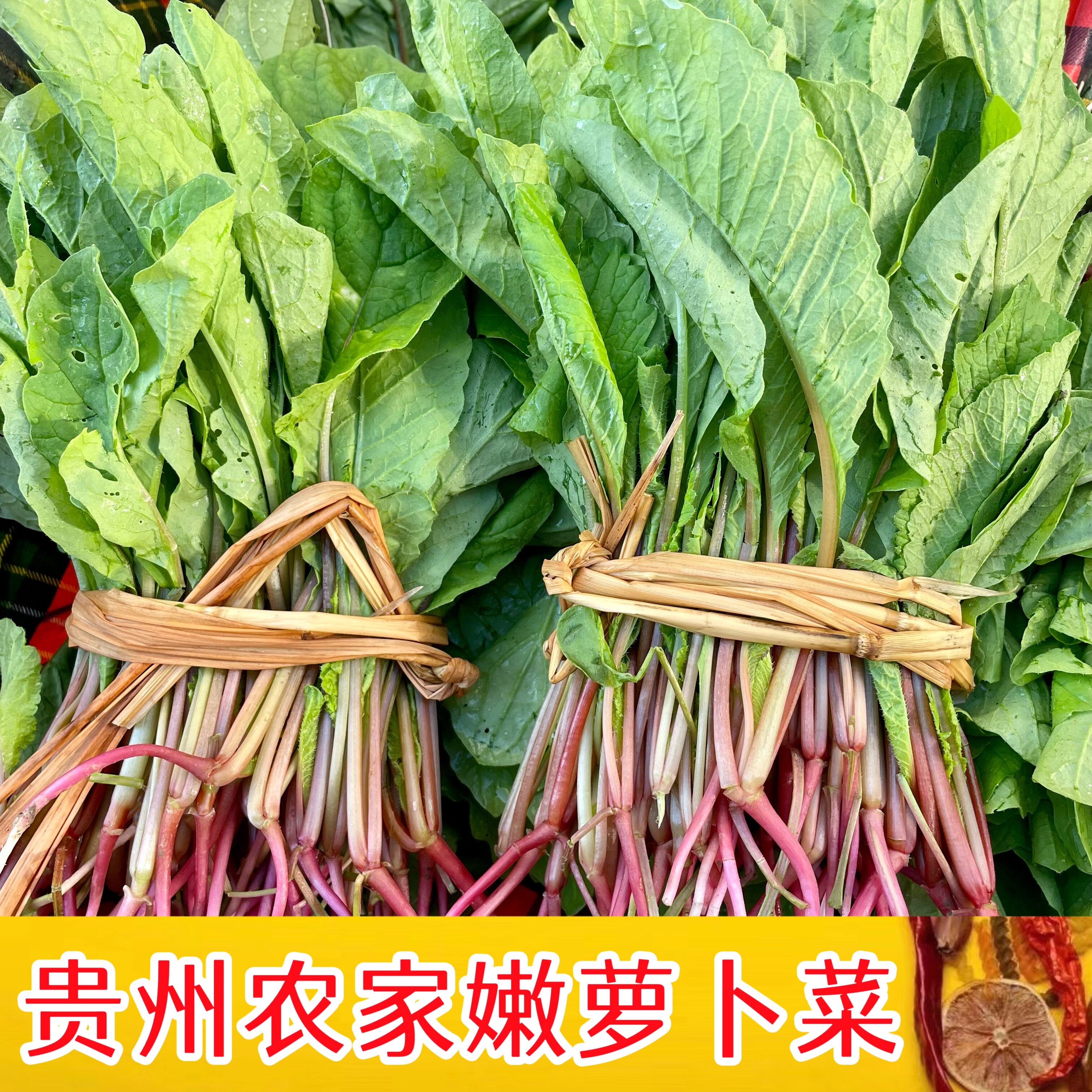 贵州农家新鲜萝卜菜红白萝卜苗叶菜萝卜樱子青菜辣菜时令蔬菜