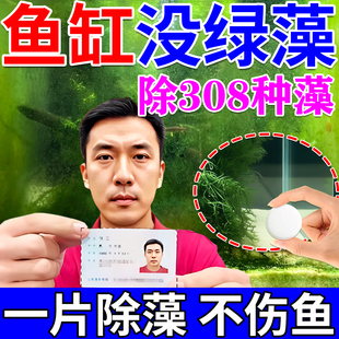除藻剂鱼缸专用片剂青苔褐藻去除神器速灭绿水绿藻丝藻克星不伤鱼