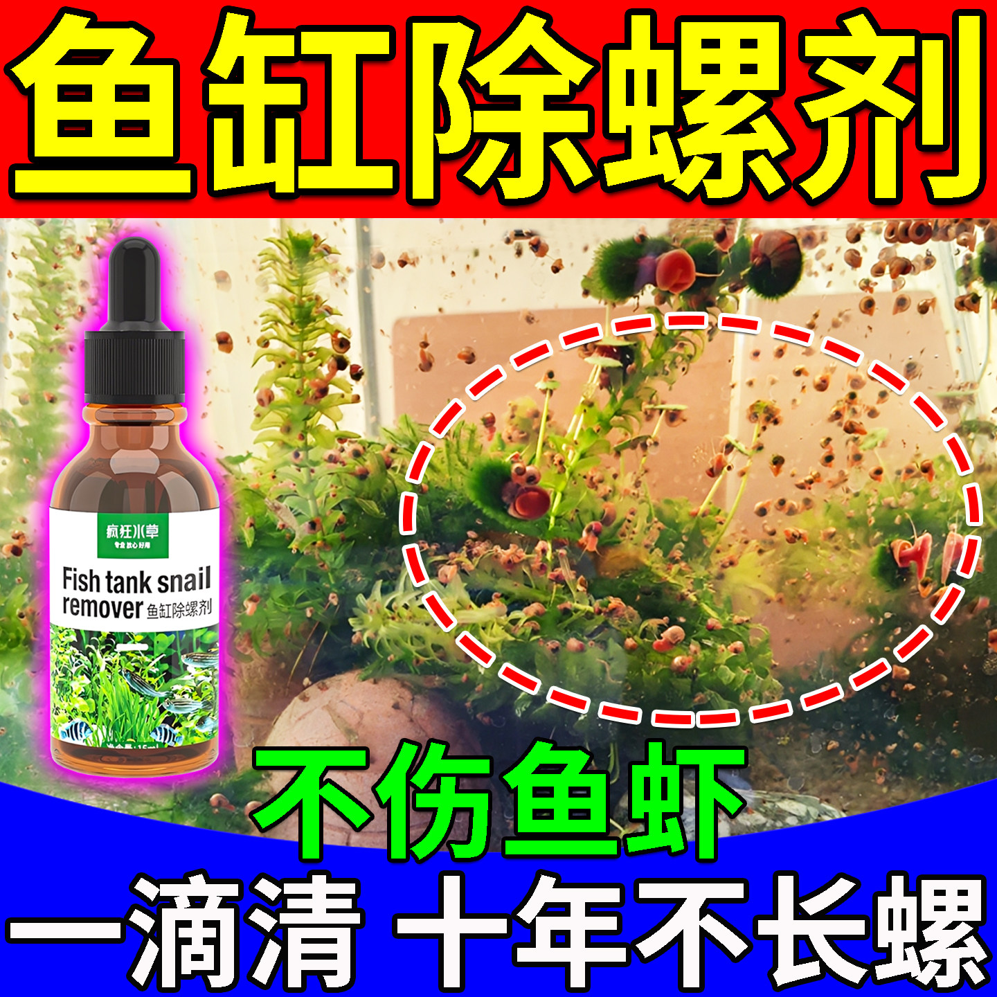 除螺剂鱼缸除螺涡虫蜗牛扁螺杂螺囊螺水螅不伤鱼虾水族缸清理专用 - 实物图