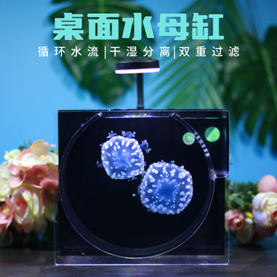水母缸专用水母活物观赏鱼缸海水生态缸造景圆形小型循环带过滤