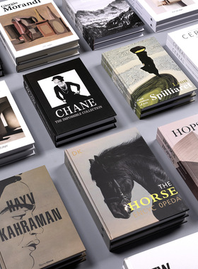 样板房软装饰品道具书外文真可翻译假书桌面摆件陈列摄影道具