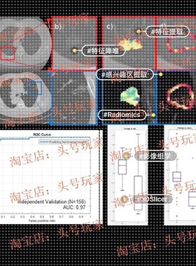 影像组学，ROI分割，图像预处理，特征解析与提取，随机森林